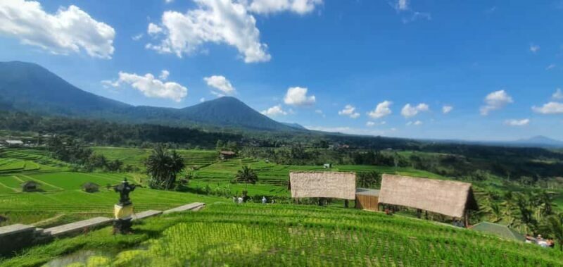 Bali: Waterfall, Rice Terraces, Temples and Sun-Set Day Tour - FAQ