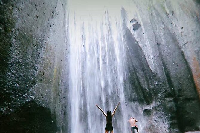 Bali Waterfalls Private Day Tour - Tour Details