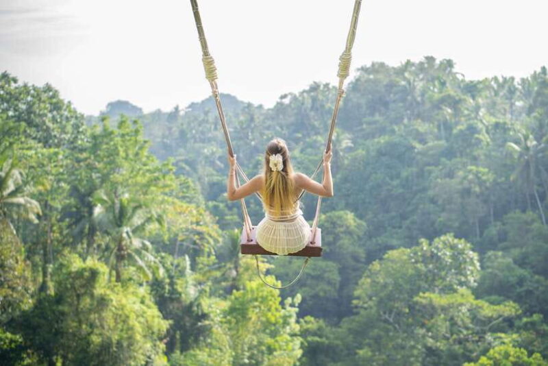 Bali : Waterfalls, Rice Terrace & Swing With Photographer - Experience Features