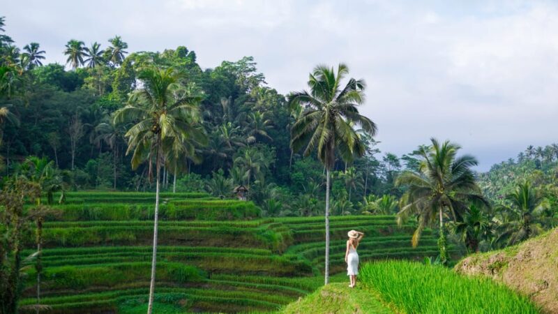 Bali : Waterfalls, Rice Terrace & Swing With Photographer - Important Information for Participants