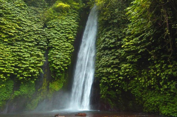 Bali Waterfalls Tour - One Day Private Tour - Pickup and Start Time