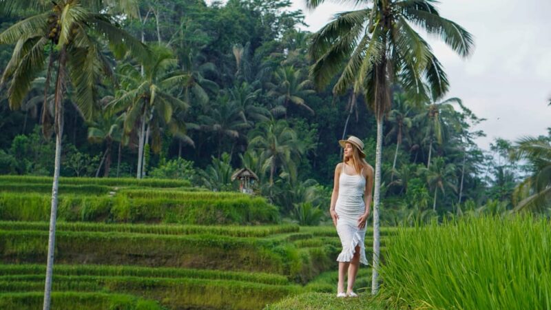 Bali : Waterfalls Tour With Private Photographer - Experience Details