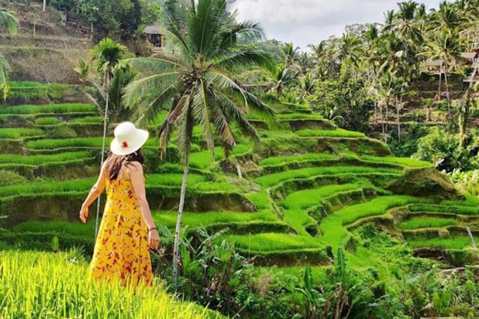 Bali: White Water Rafting Adventure and Ubud Tour - Booking and Cancellation