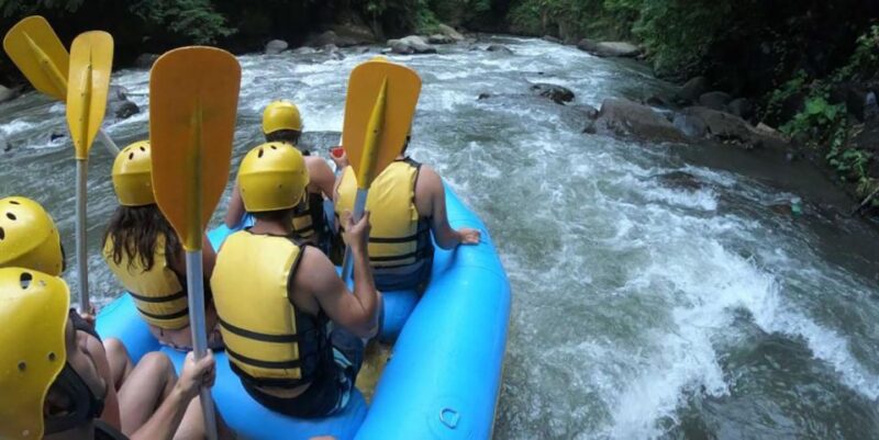 Bali: White Water Rafting Adventure & Tanah Lot Sunset Tour - Highlights and Experiences