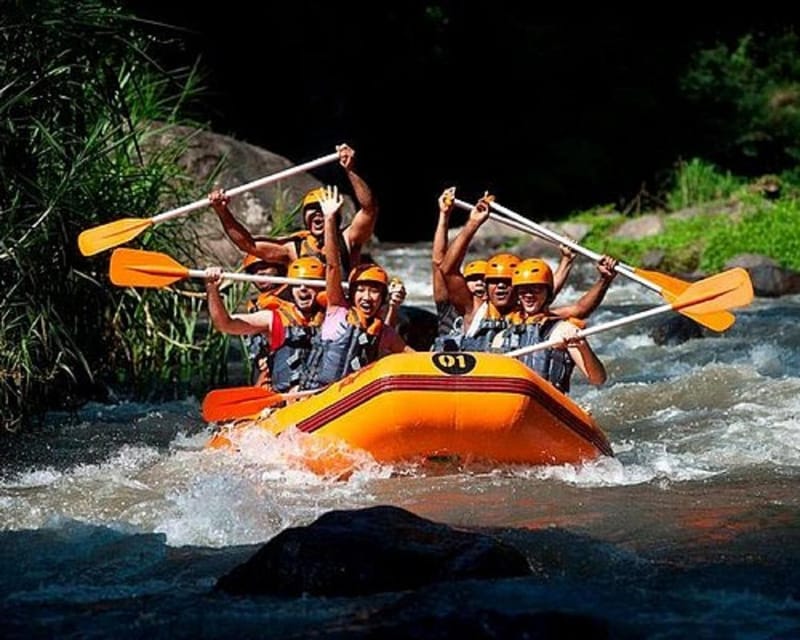 Bali: White Water Rafting and Monkey Forest Tour - Rafting Adventure Highlights