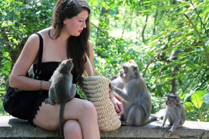 Bali: White Water Rafting and Monkey Forest Tour - Customer Ratings and Reviews