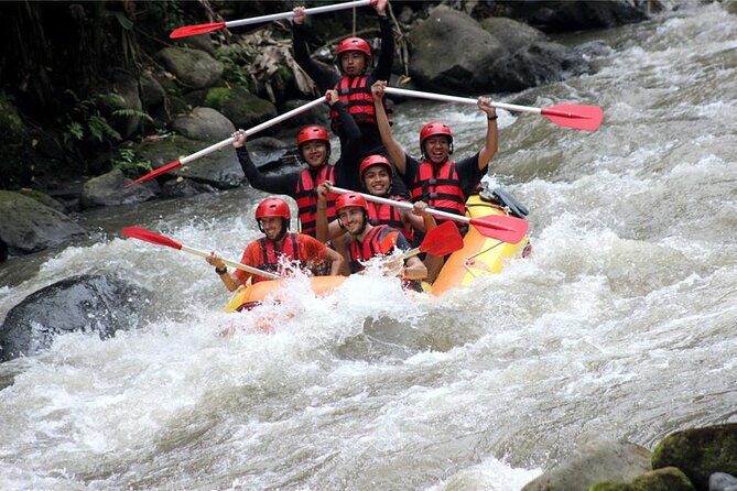 Bali White Water Rafting and Ubud Cycling Tour - Kuta Transport