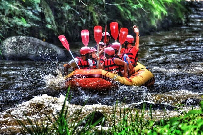 Bali White Water Rafting and Ubud Cycling Tour - Ubud Cycling Experience