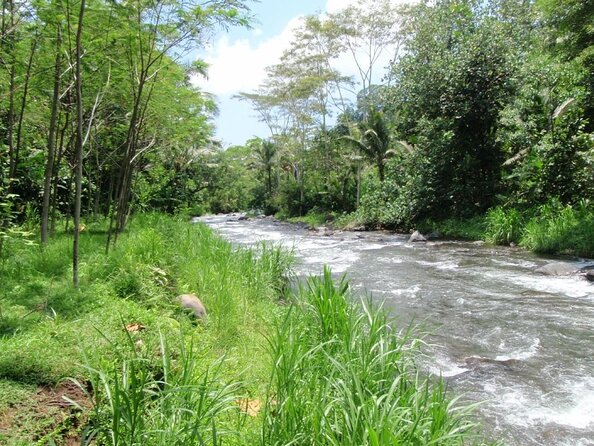 Bali White Water Rafting + Bali ATV Ride - Key Points
