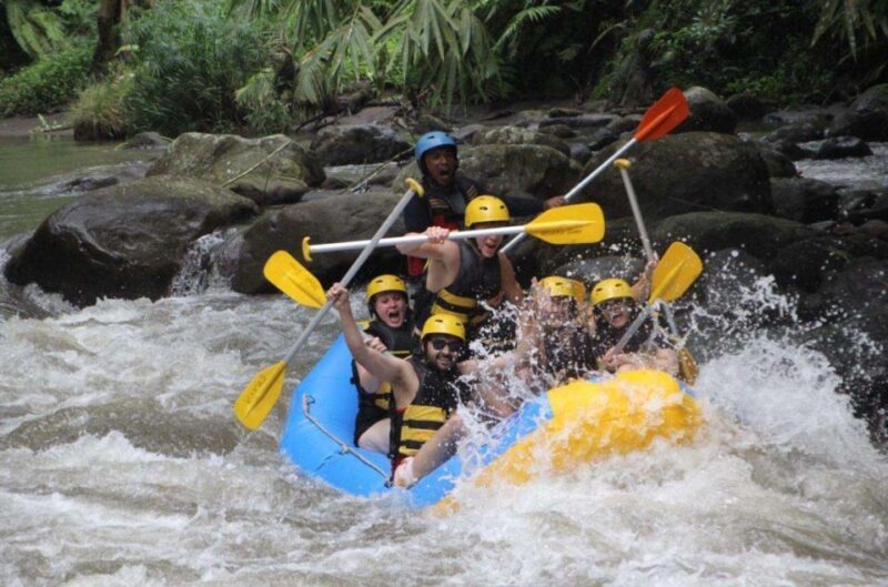 Bali: White Water Rafting & Cycling Tour - All Inclusive - Inclusions and Exclusions