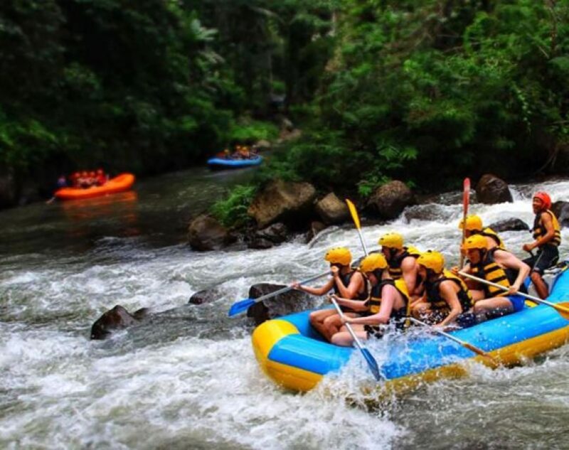 Bali: White Water Rafting & Cycling Tour - All Inclusive - Participant Requirements