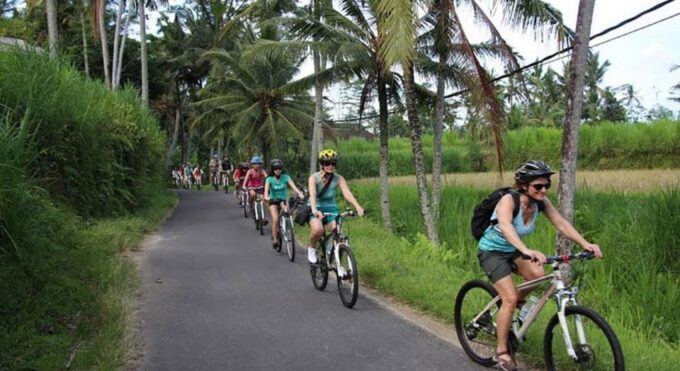 Bali: White Water Rafting & Cycling Tour - All Inclusive - Cycling Adventure
