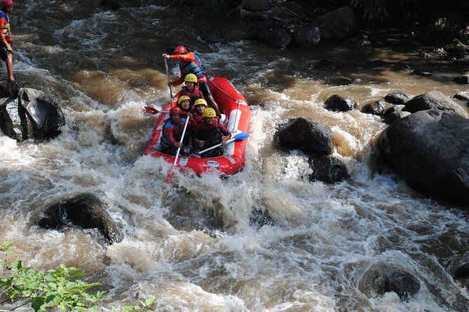 Bali White Water Rafting With Lunch - River and Surroundings