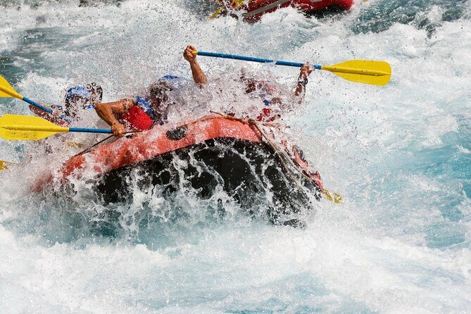 Bali White Water Rafting with Sacred Monkey Forest and Swing - Who Should Consider This Tour?