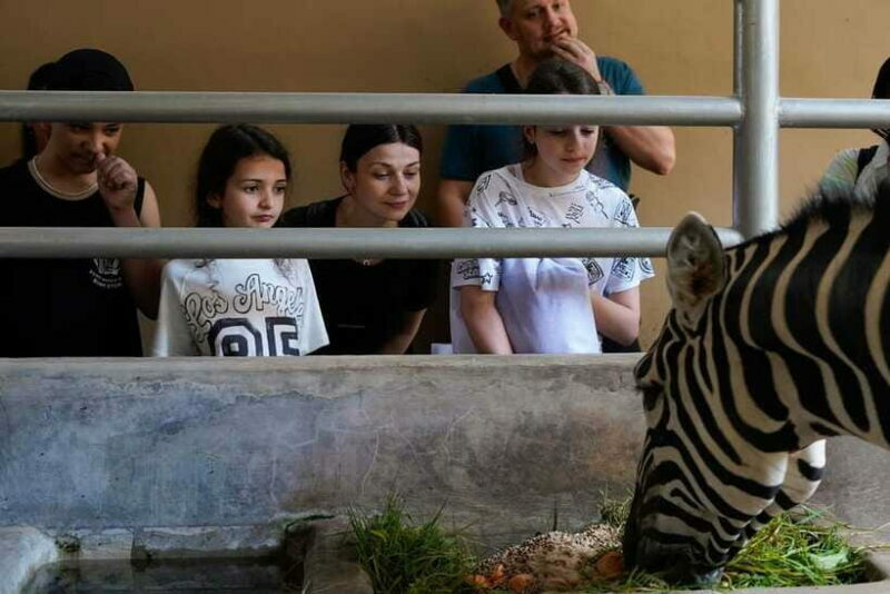 Bali Zoo: Behind Closed Doors Afternoon Safari Guided Tour - The Value for Money