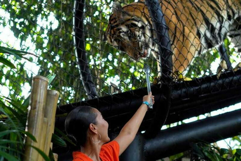 Bali Zoo: Behind Closed Doors Afternoon Safari Guided Tour - FAQ
