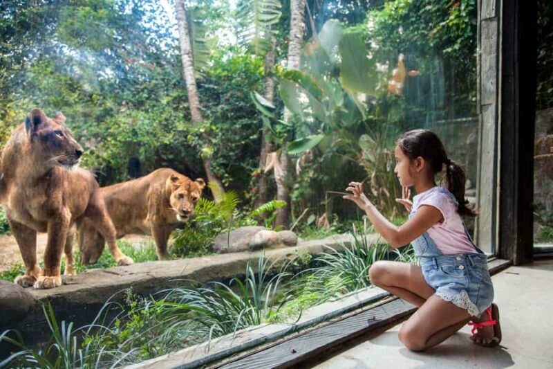 Bali Zoo Entrance Ticket - Highlights of the Bali Zoo Experience