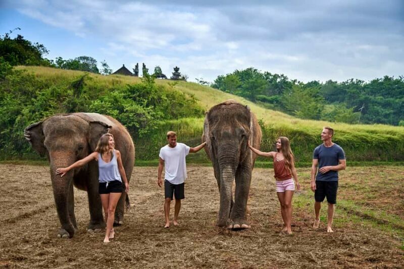 Bali Zoo: Guided Ethical Elephant Care Experience - Key Points