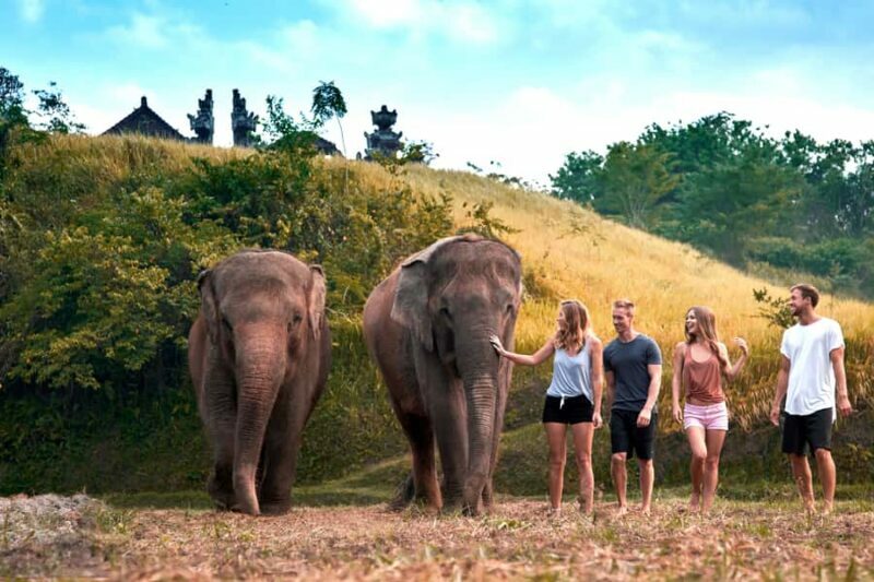 Bali Zoo: Guided Ethical Elephant Care Experience - A Responsible Way to Meet Bali’s Elephants