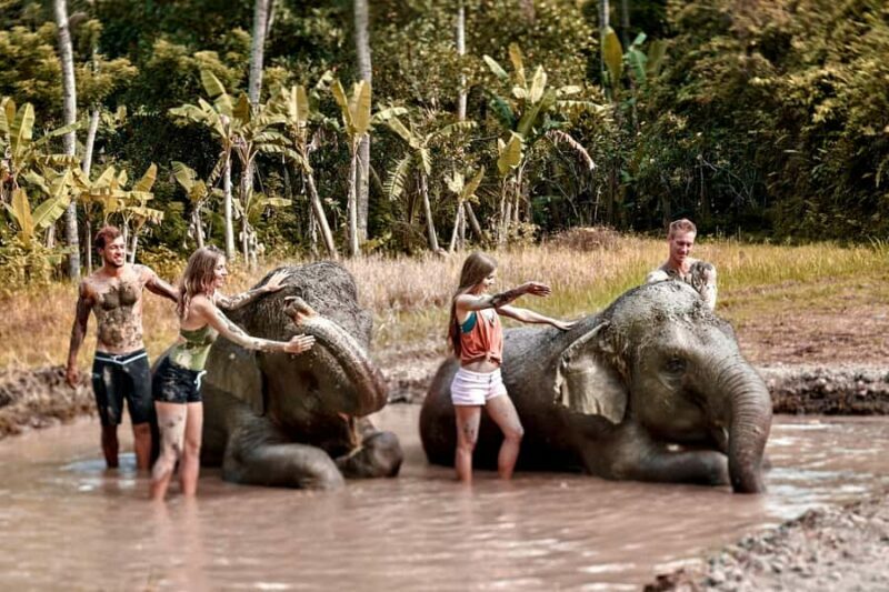 Bali Zoo: Guided Ethical Elephant Care Experience - The Lunch and Additional Options