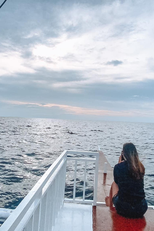 Balicasag Island Private Tour and Dolphin Watching - Key Points