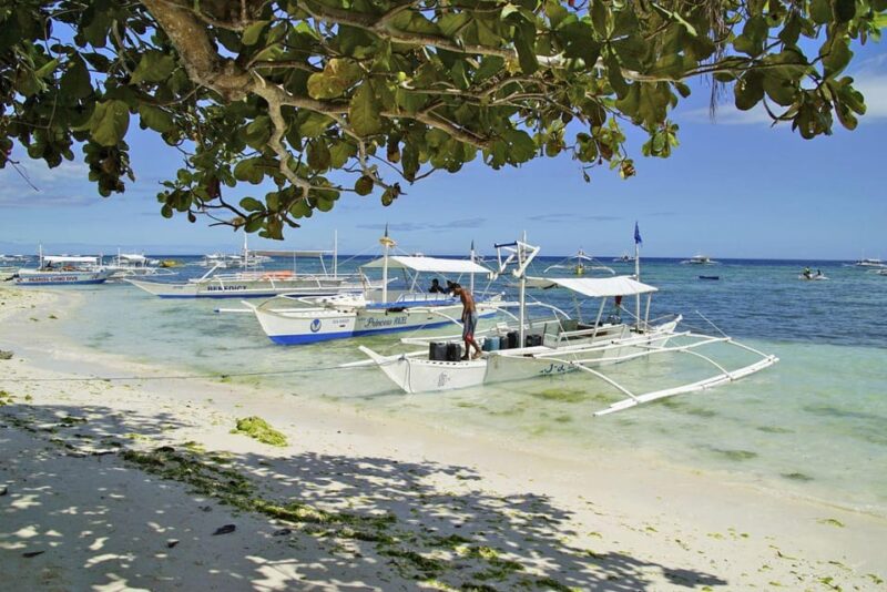 Balicasag Island Private Tour and Dolphin Watching - Highlights