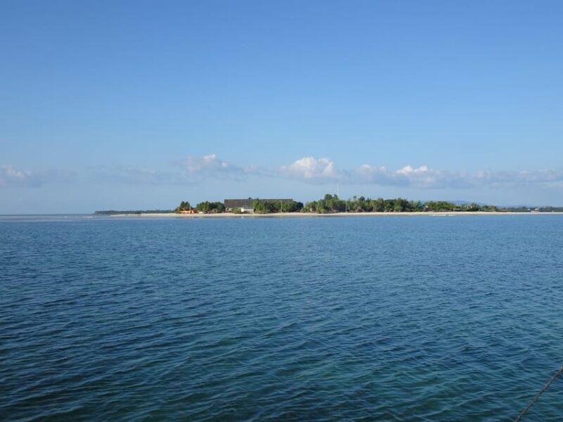 Balicasag Island Private Tour and Dolphin Watching - Inclusions
