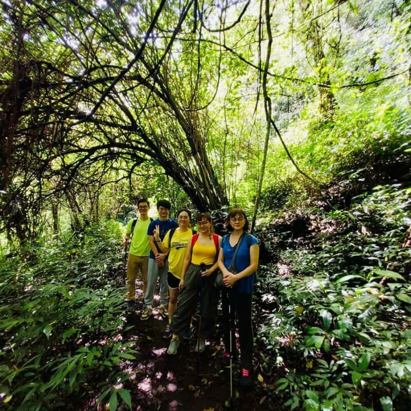 Bali:Explore 5 Waterfalls Trekking Tour in Munduk Bali - Key Points