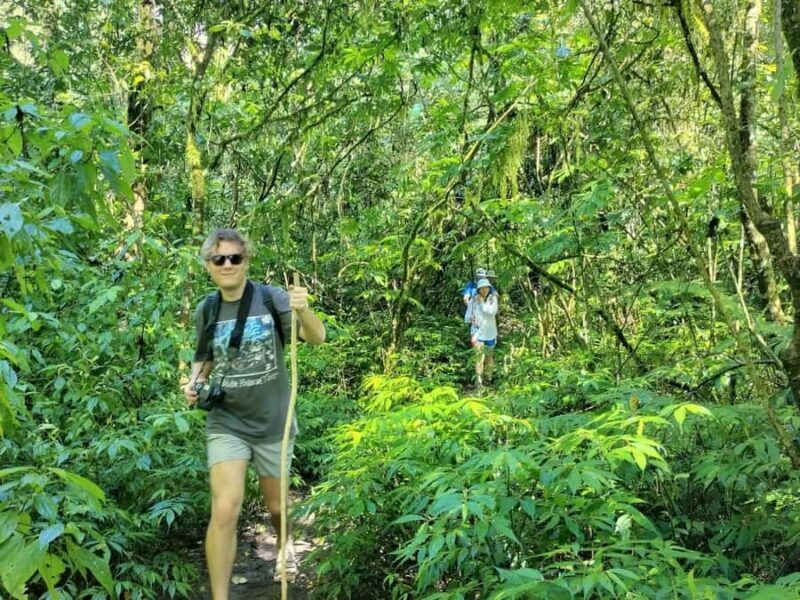 Bali:Explore 5 Waterfalls Trekking Tour in Munduk Bali - The Sum Up