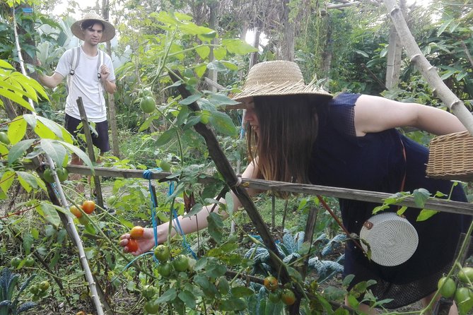 Balinese Cooking Class at Organic Farm - Authentic Balinese Cuisine