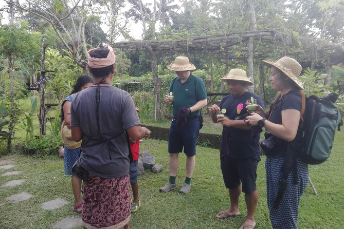 Balinese Cooking Class at Organic Farm - Hands-on Learning Experience