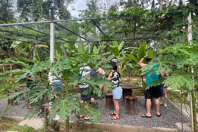 Balinese Cooking Class With Traditional Market Tour - Pricing and Booking Details