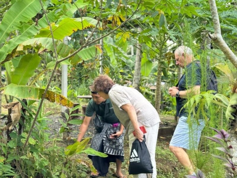 Balinese Cooking Class With Visit Ubud Highlight Tour - Itinerary and Locations