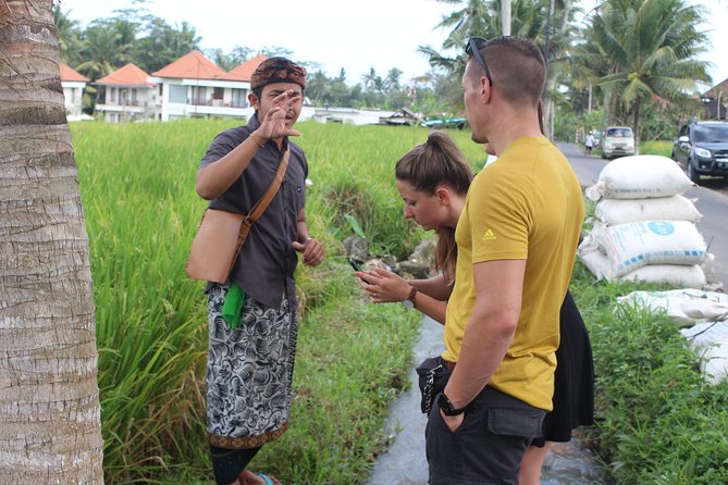 Balinese Cooking School (9 Dish Cooking and Market Tour) - Dining and Food Tasting