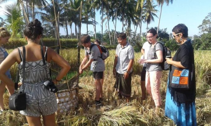 Balinese Culinary Adventure: Authentic Cooking Class in Ubud - What to Expect