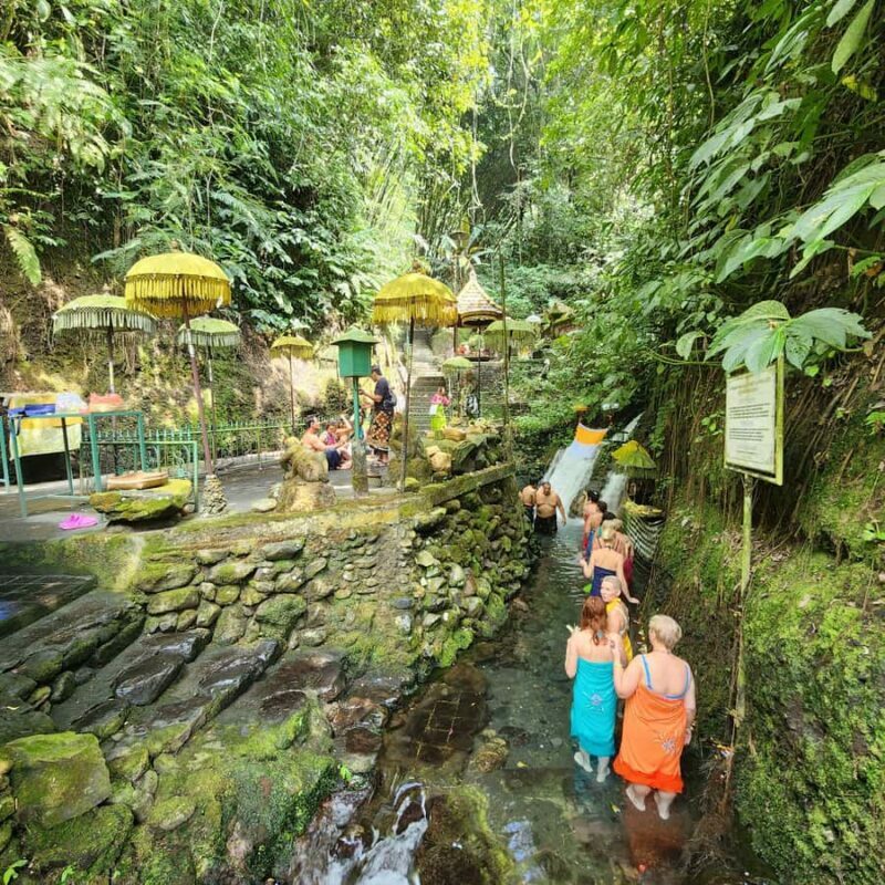Balinese Purification at holy water temple with Local - Authenticity and Cultural Respect