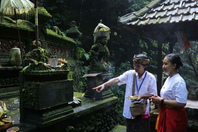 Balinese Purification at holy water temple with Local - Who Will Love This Tour?