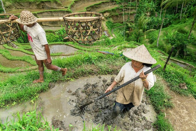 Balinese Ritual Purification Tour - Participant Requirements