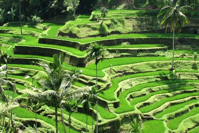 Balinese Ritual Purification Tour - Preparing for the Experience