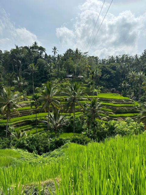 Balinese Spiritual Cleansing by Traditional Method - Key Points