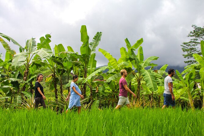 Balinese Vegan Cooking Class With Fresh Harvesting & Garden Tour - Class Features