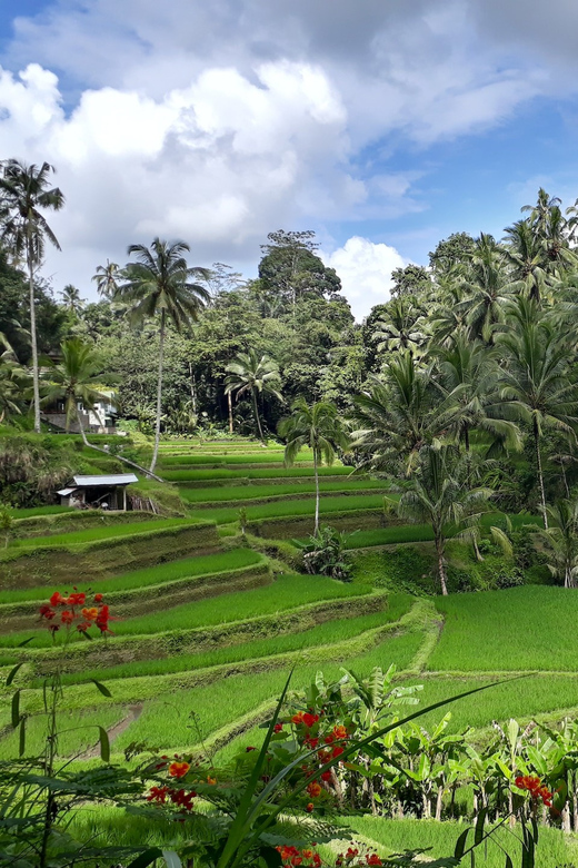 Balis Best: 3 Day Tours Package - Itinerary Highlights: Day 1