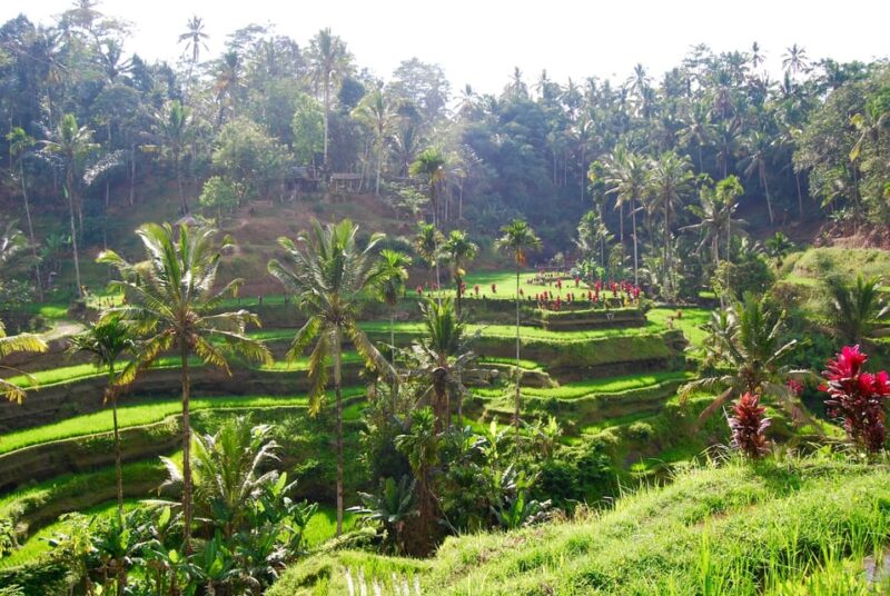 Balis Best: 3 Day Tours Package - Itinerary Highlights: Day 3
