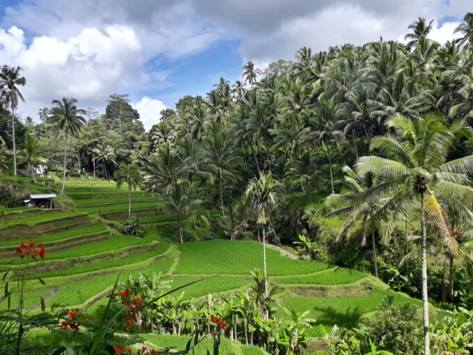 Balis Best: 3 Day Tours Package - Availability and Reservations