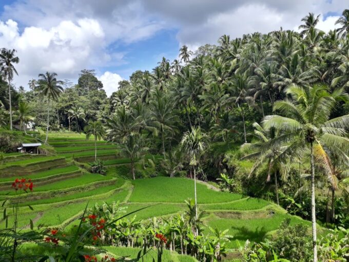 Balis Best: 3 Days Hotel & Tours Inclusive - Frequently Asked Questions