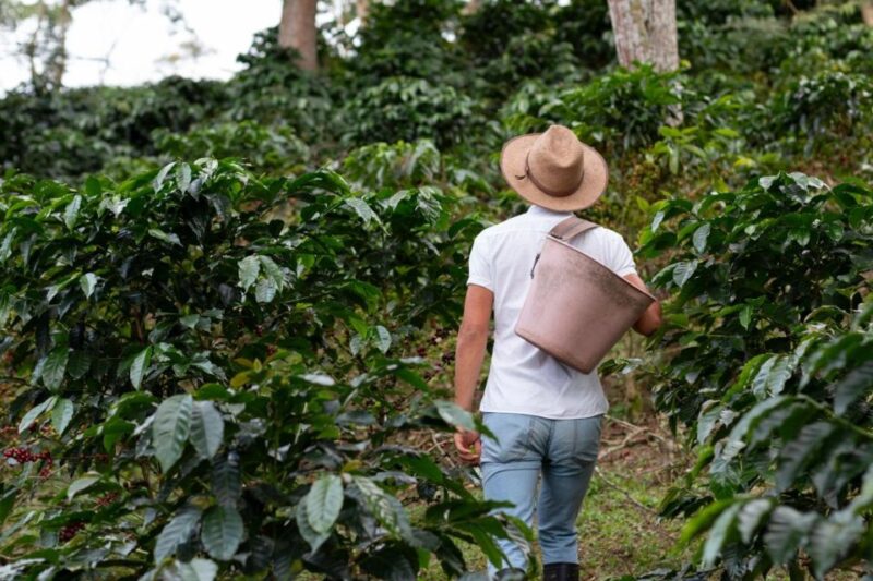 Balis Sunrise Jeep Expedition: Batur & Coffee Delights - Key Points