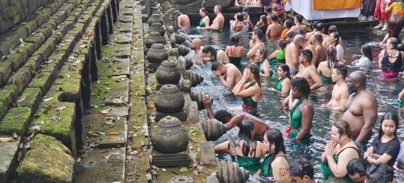 Bali:Ubud Privite Tour ,Monkey Forest ,Swing , Water Tample! - Swing Experience Joy