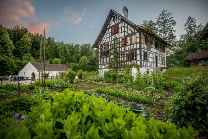 Ballenberg Museum Ticket - Check Availability