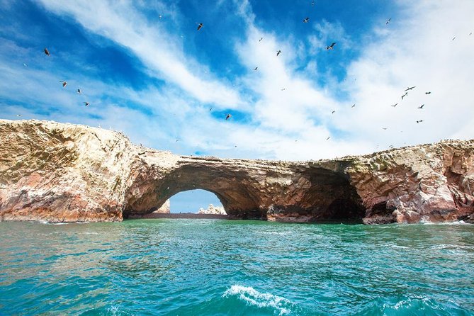 Ballestas and Paracas From Lima by Bus - Cancellation Policy