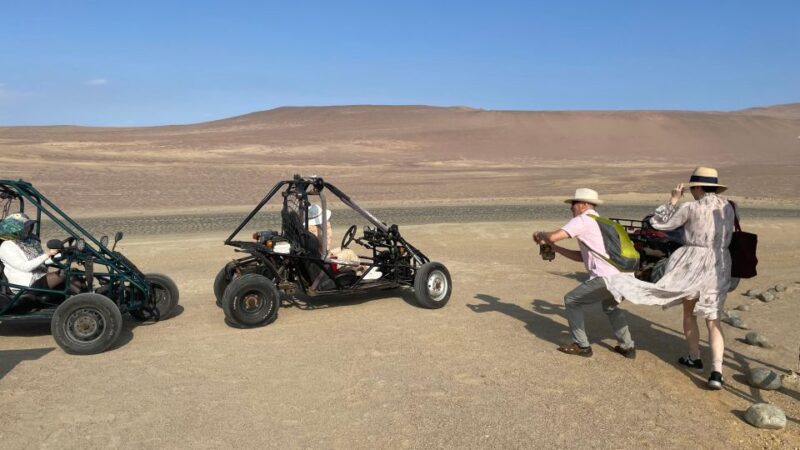 Ballestas Island and Paracas National Reserve - Pricing and Inclusions